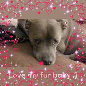 Meet your Posher, Amber